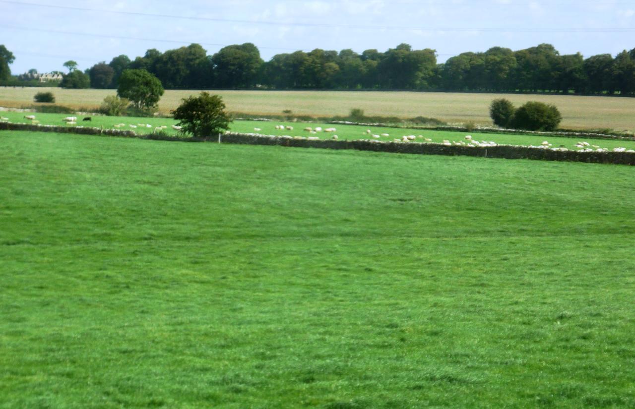 Bed and Breakfast Windylands Chipping Sodbury Esterno foto